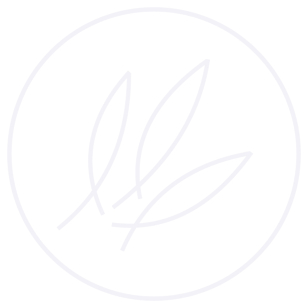 Logo_blanc_SF